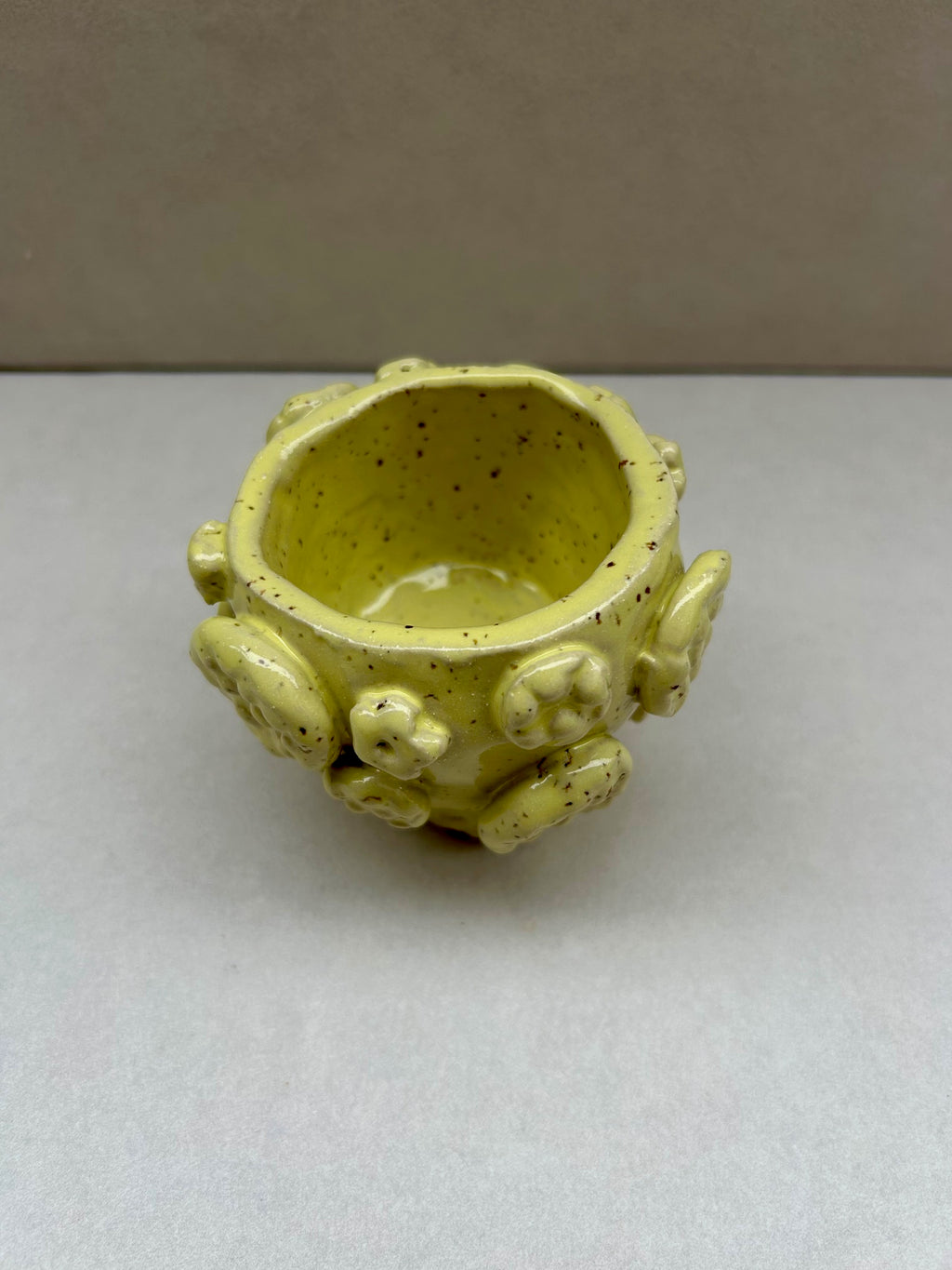 Bloom Pot