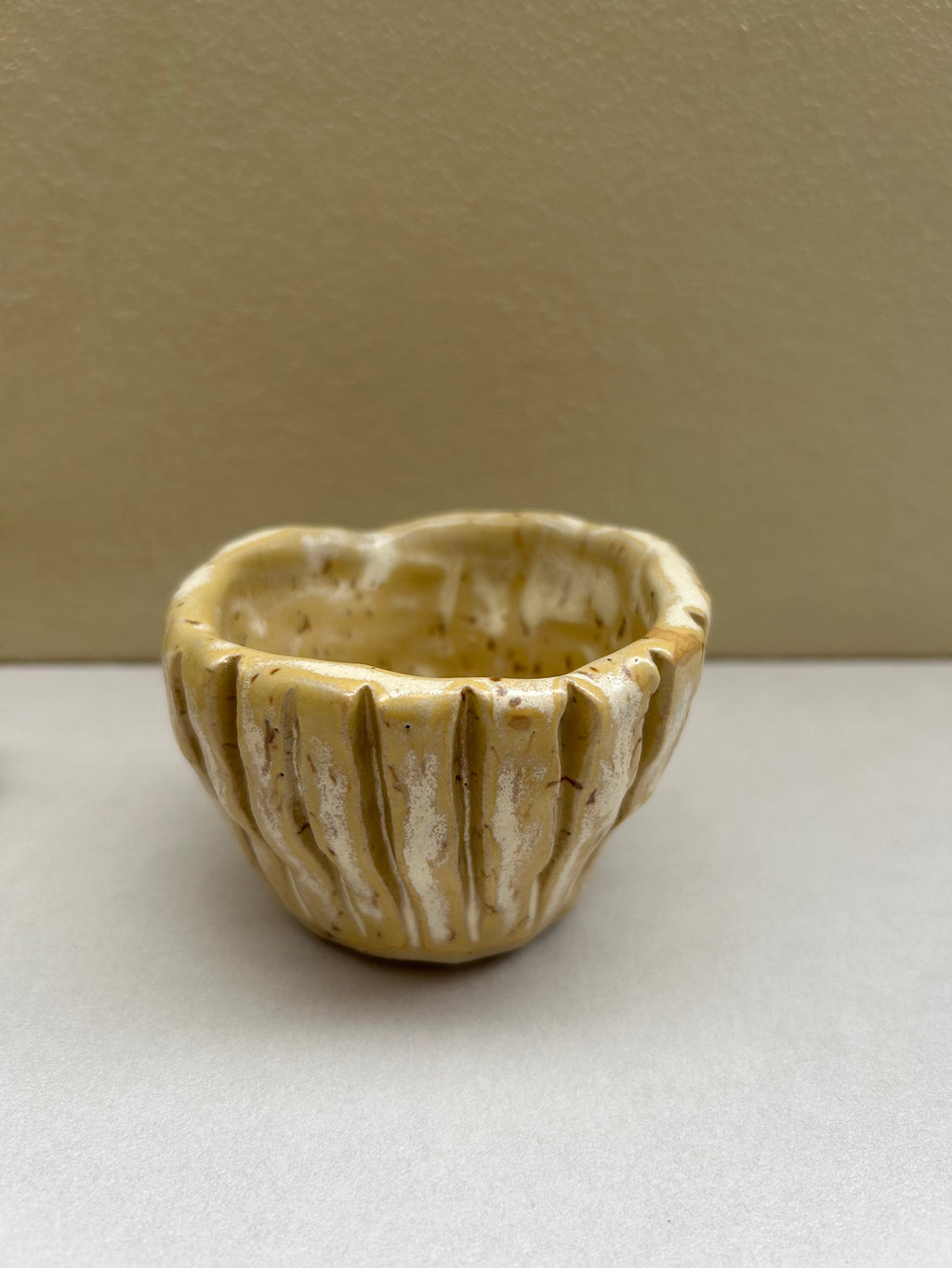 Leopard Print Pot